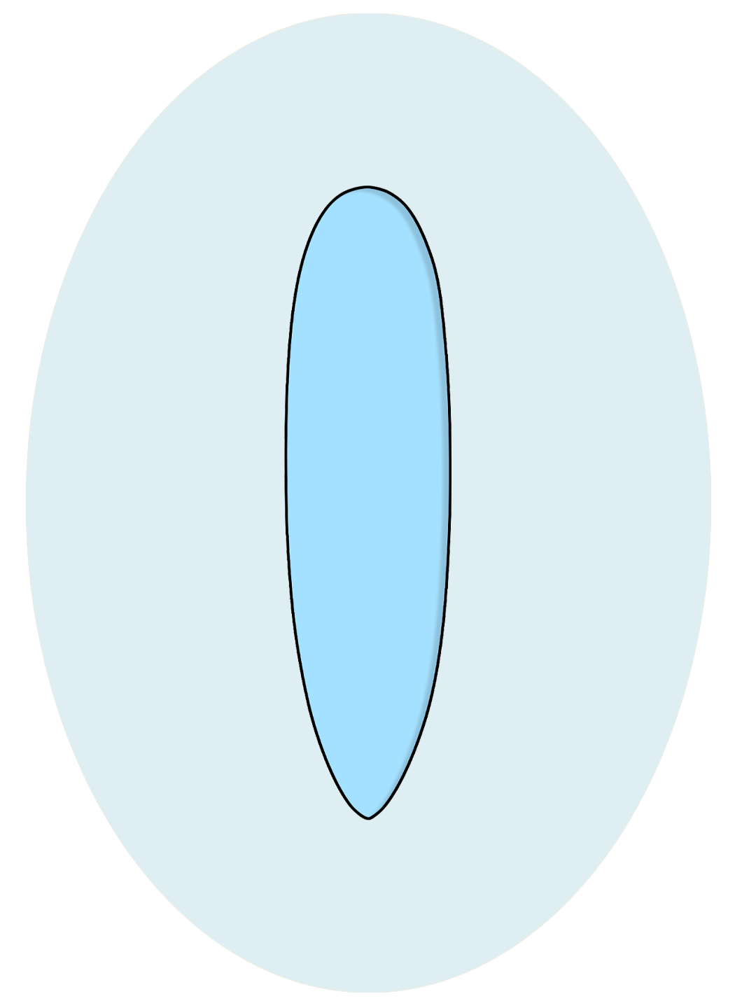 Mid length surfboards